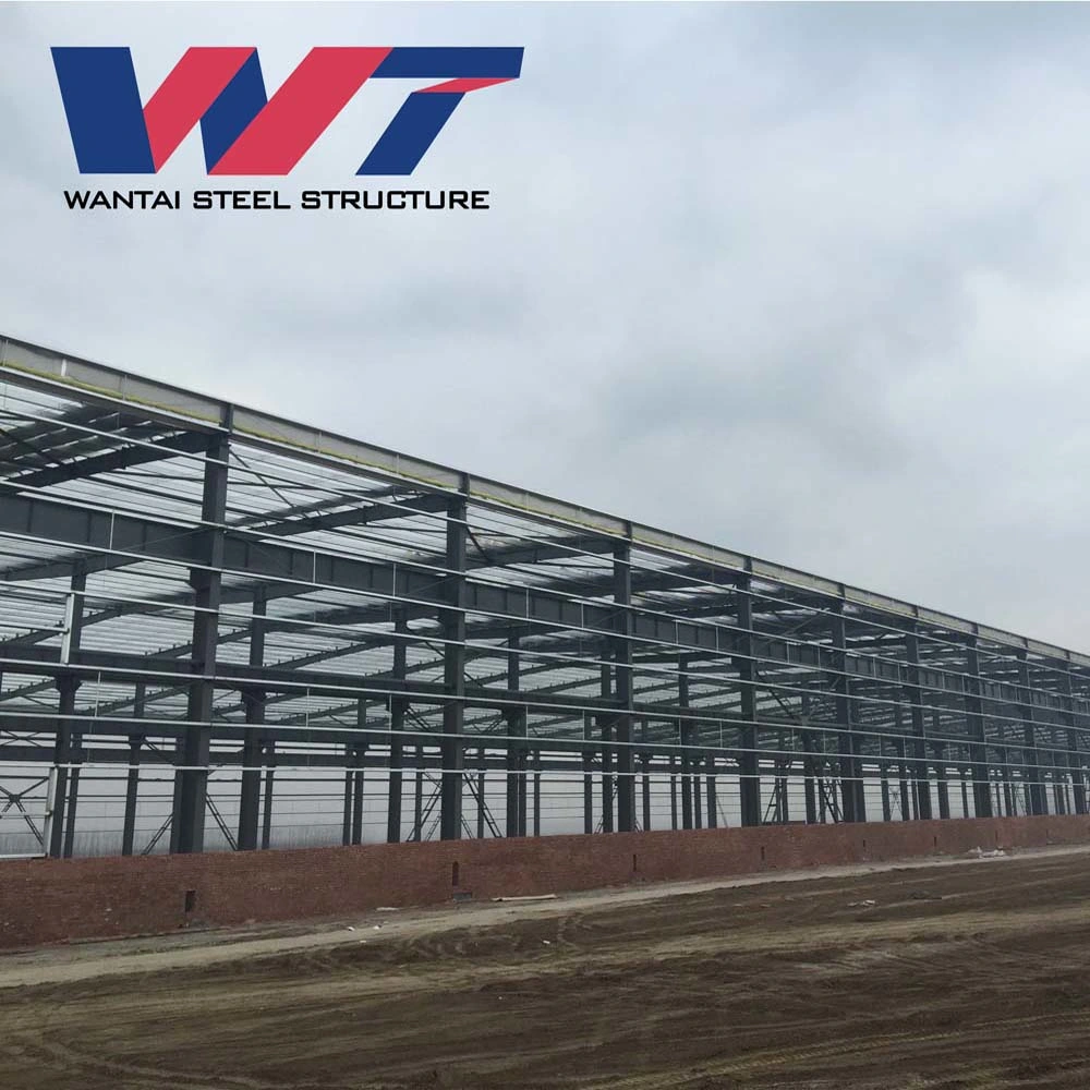 High Standarsd Steel Structure Building Metal Structure Construction